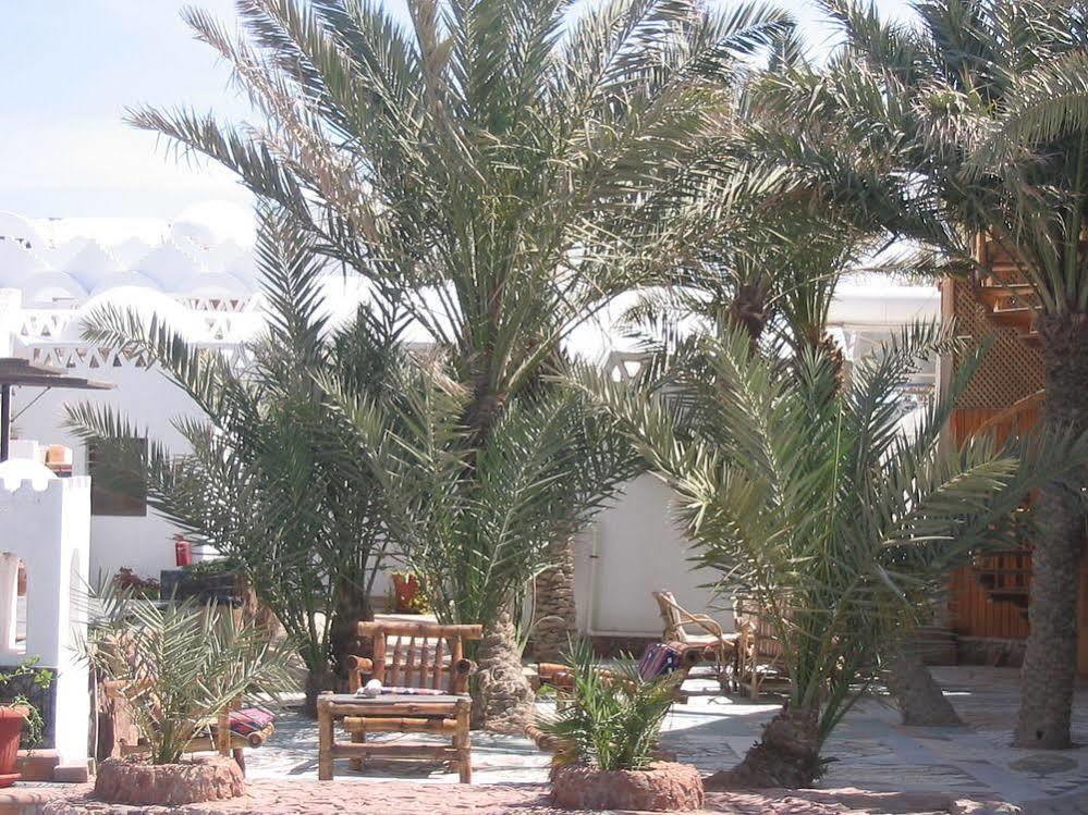 Inmo Divers Home Dahab Bagian luar foto