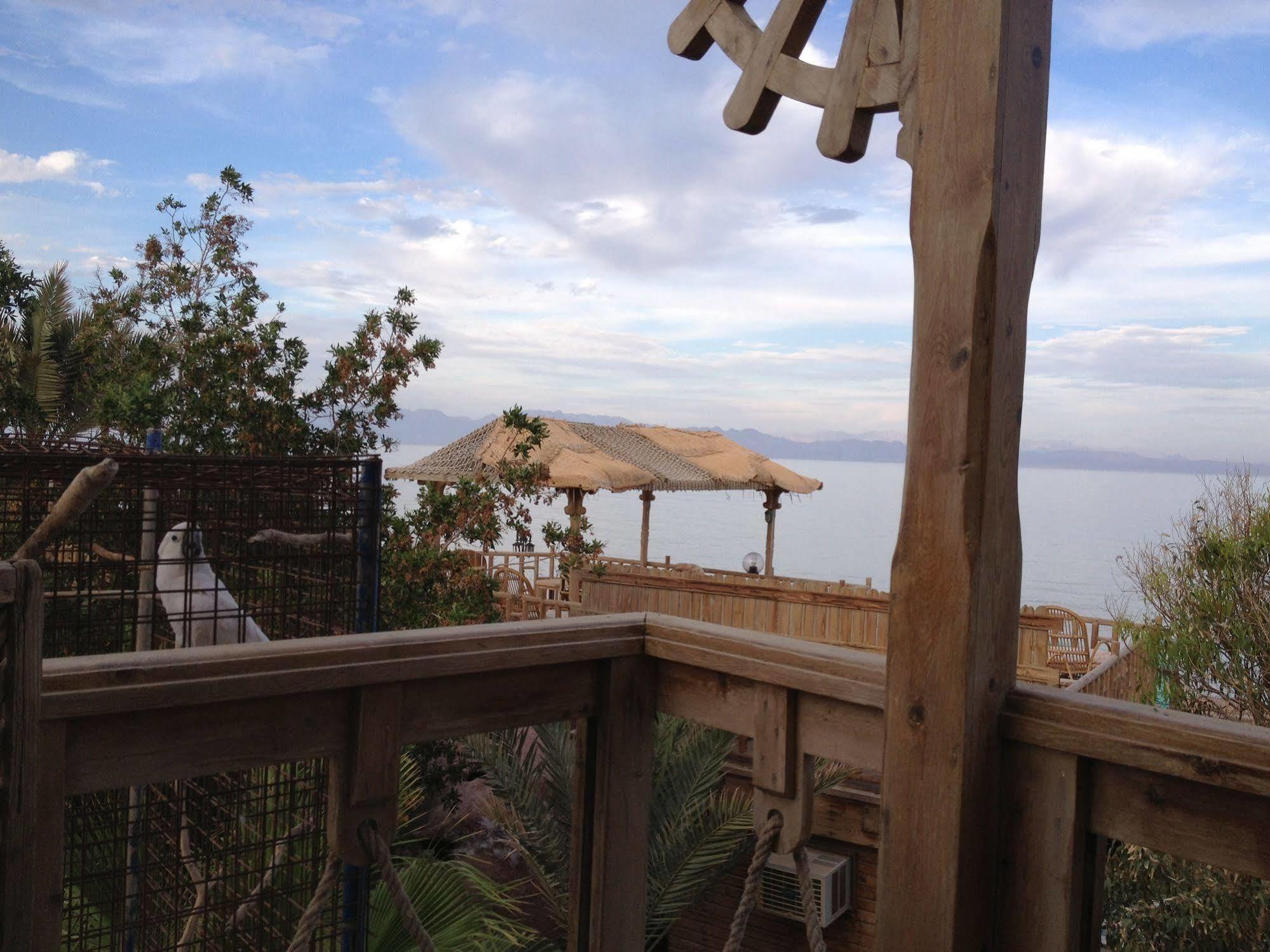 Inmo Divers Home Dahab Bagian luar foto