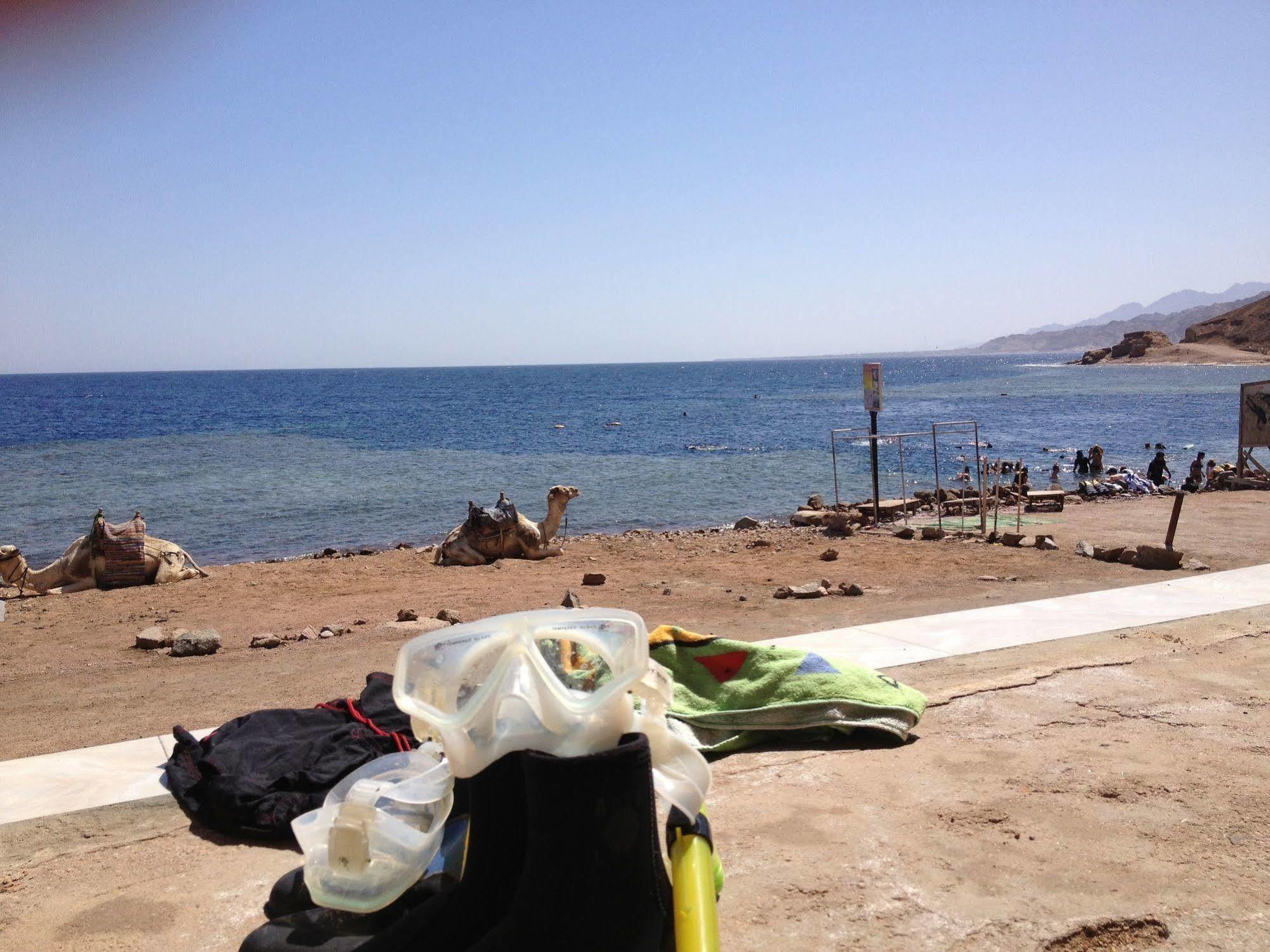 Inmo Divers Home Dahab Bagian luar foto