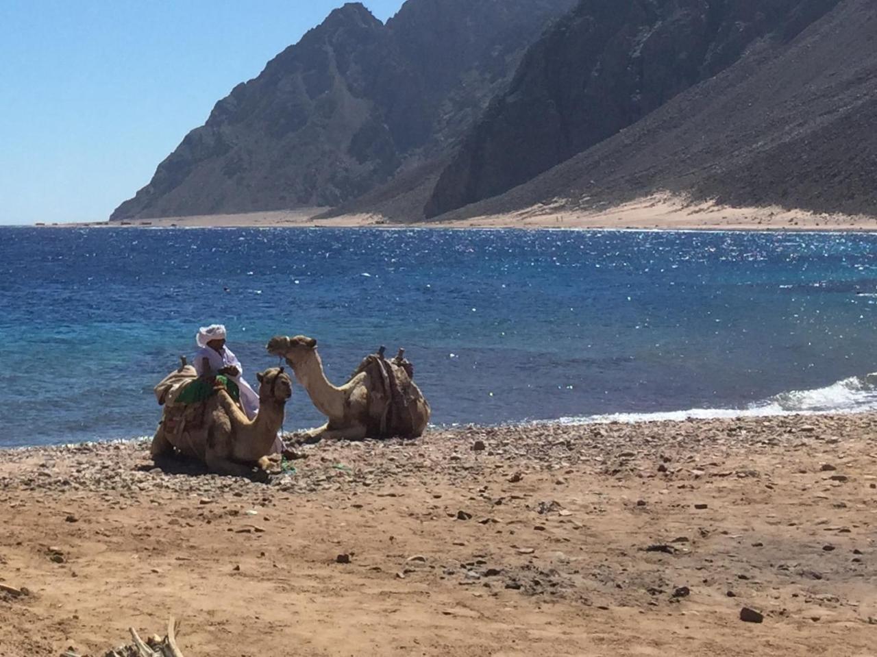 Inmo Divers Home Dahab Bagian luar foto
